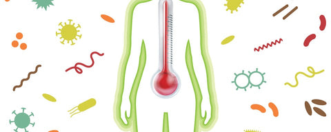 체온이 면역력을 — 좌우한다